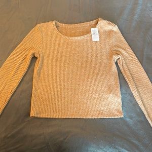 Brand new American Eagle cropped long sleeve top